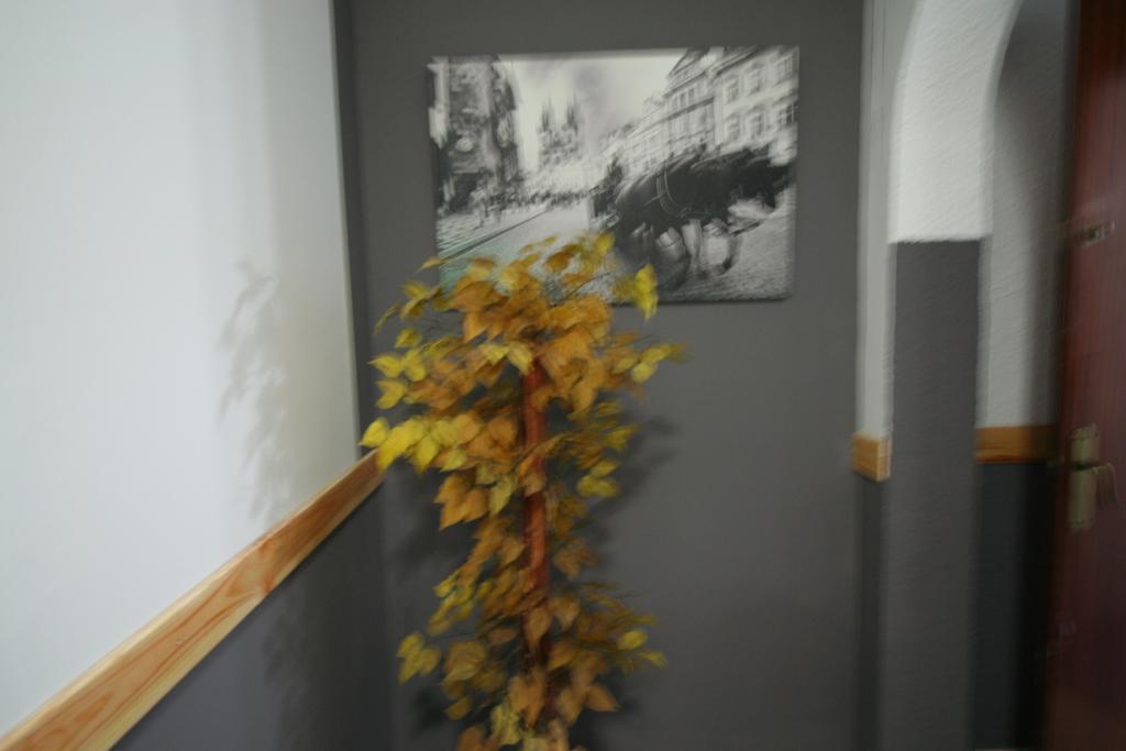 Hostal Restaurante Avenida De Madrid Terrassa Eksteriør bilde